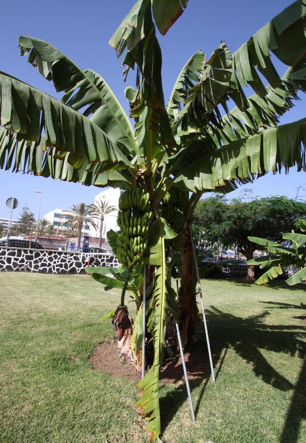 Fantastic Apartment With Sea Views Playa del Ingles  Exterior foto